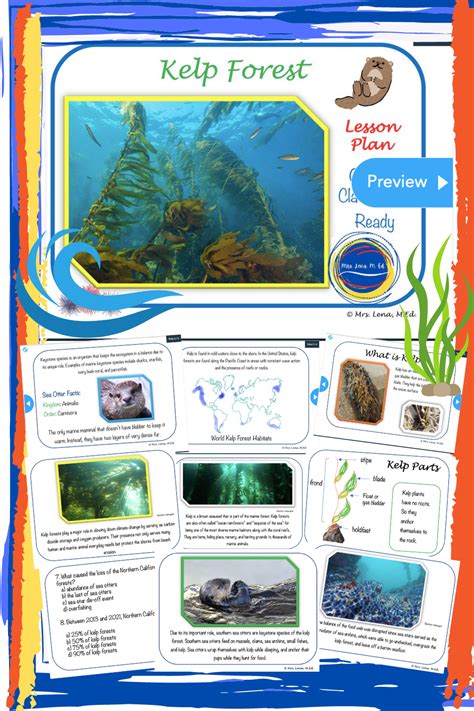  Keystone Kelp Forest Dweller! Exploring the Life and Times of the Kommet Sponge